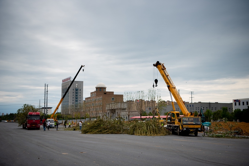 1661752730803940.jpg 15.jpg