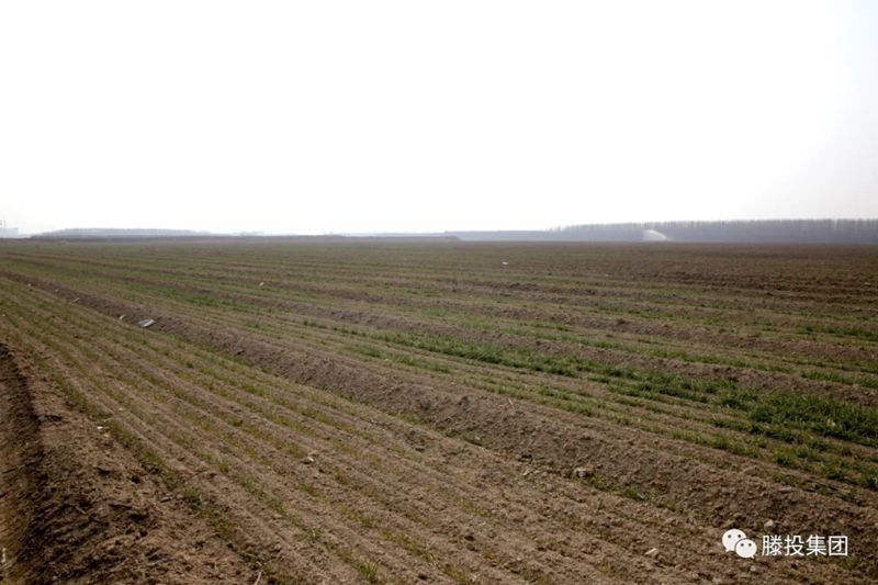 1675741674129539.jpg 3.jpg