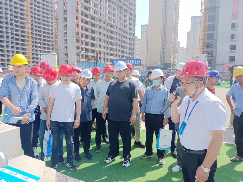 1686215171681064.jpg 4.jpg