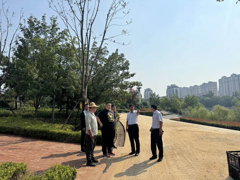 1727397472893156.jpg 1727397426100204.jpg